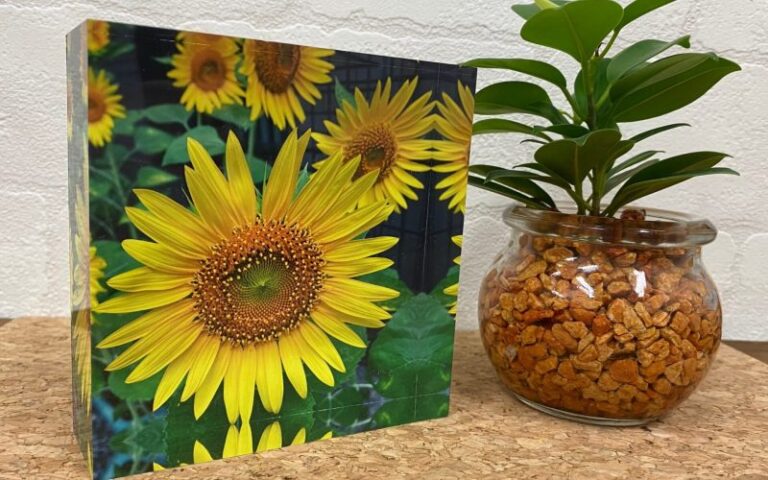 himawari-qrux9dgbnxniz2ez8fq8byz2bregt79p0u9w0pjurs